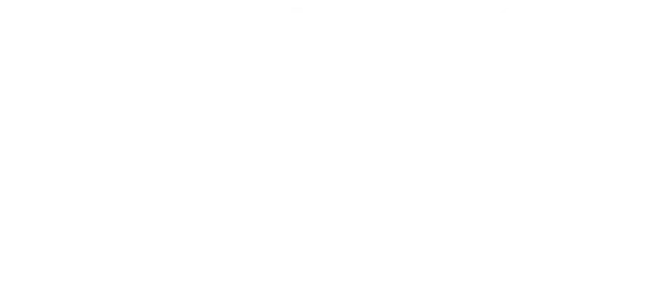 texto (9)
