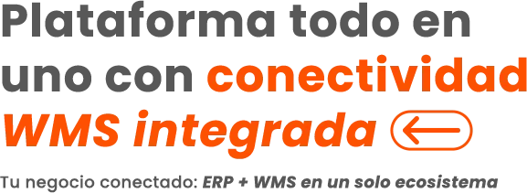 texto wms
