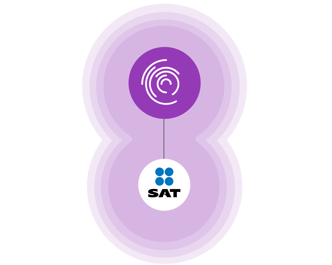 sistema-contable-SAT