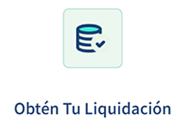 obtentuliquidacion