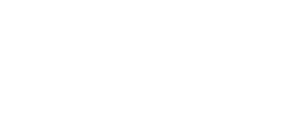texto (9)
